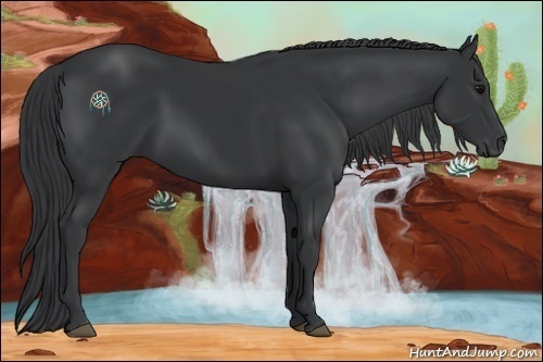 Horse Color:Black 