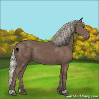 Horse Color:Silver Black 