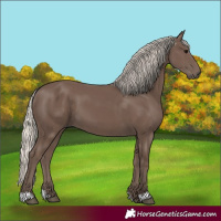 Horse Color:Silver Black 