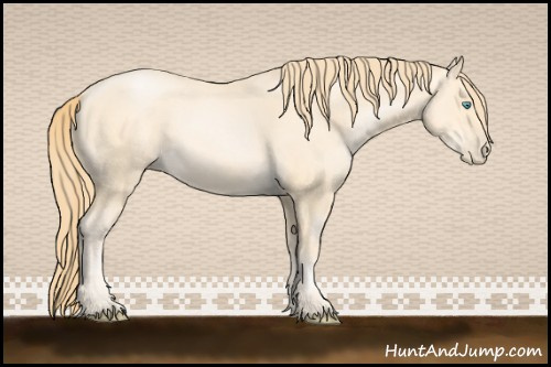Horse Color:Buckskin Pearl Sabino 
