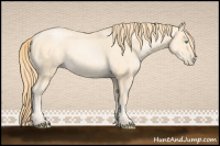 Horse Color:Buckskin Pearl Sabino 