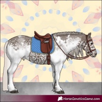 Horse Color:White Spotted Silver Black 