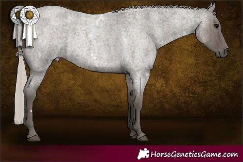 Horse Color:White Spotted Silver Grullo Roan Brindle 