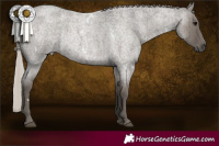 Horse Color:White Spotted Silver Grullo Roan Brindle 