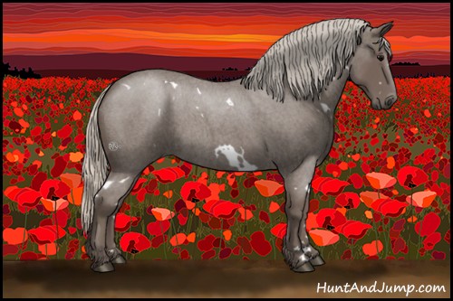 Horse Color:White Spotted Silver Blue Roan 