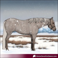 Horse Color:White Spotted Silver Blue Roan 