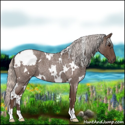 Horse Color:White Spotted Silver Blue Roan 