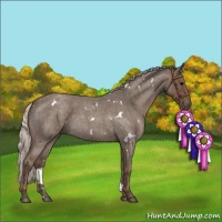 Horse Color:White Spotted Silver Blue Roan 