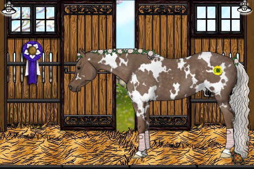 Horse Color:White Spotted Silver Blue Roan