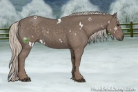 Horse Color:White Spotted Silver Blue Roan 