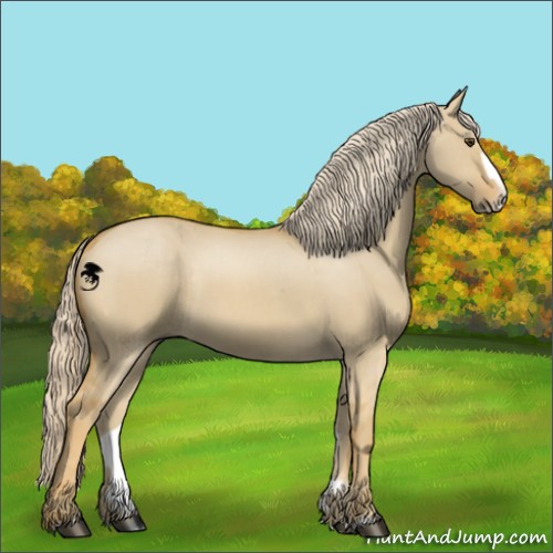 Horse Color:Palomino Dun Splash Frame