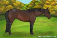 Horse Color:Brown 