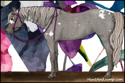 Horse Color:White Spotted Silver Blue Roan 