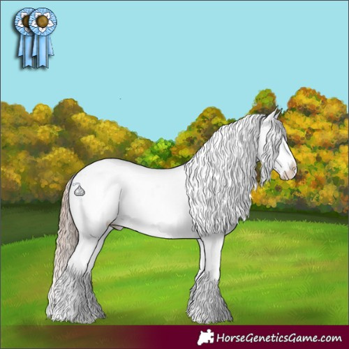 Horse Color:Liver Red Onyx Near Leopard Rabicano
