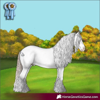 Horse Color:Liver Red Onyx Appaloosa Rabicano 