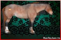 Horse Color:Red Roan and Bay Roan