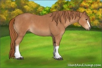 Horse Color:Chestnut  and Chestnut 