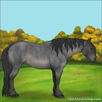 Horse Color:Blue Roan  and Blue Roan 