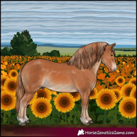 Horse Color:Chestnut and Chestnut