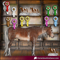 Horse Color:White Spotted Brown Dun  and White Spotted Silver Brown Tobiano 