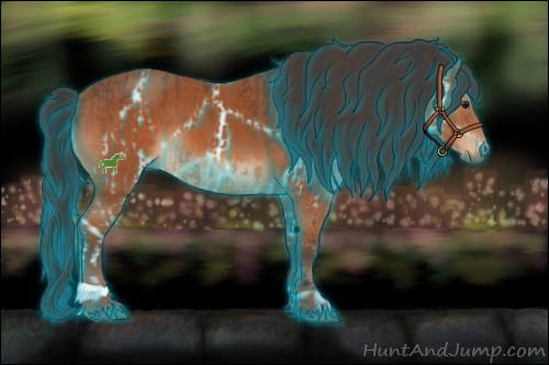 Horse Color:Thunderstruck Bay  and Bay 