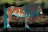 Horse Color:Thunderstruck Bay  and Bay 