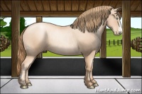 Horse Color:Gold Champagne Pearl Rabicano and Gold Champagne Pearl Rabicano