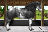 Horse Color:White Spotted Black Splash Tobiano Frame Varnish 