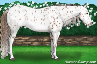 Horse Color:Chestnut Tobiano Leopard  and White Spotted Chestnut Tobiano Leopard 