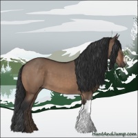 Horse Color:Bay Dun
