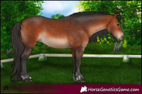 Horse Color:Bay and Bay