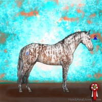 Horse Color:Brown  and Gray Brown 