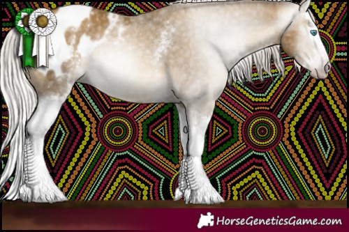 Horse Color:Gray White Spotted Silver Sable Cream Champagne Sabino Splash Blanket Rabicano