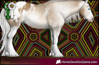 Horse Color:Gray White Spotted Silver Sable Cream Champagne Sabino Splash Blanket Rabicano 
