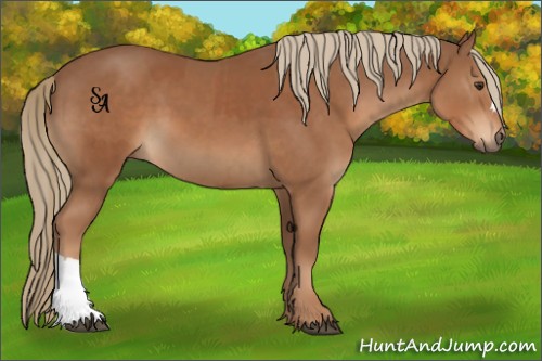 Horse Color:Chestnut  and Chestnut 