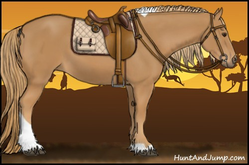 Horse Color:Chestnut Tobiano