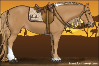 Horse Color:Chestnut Tobiano