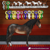 Horse Color:Gray Brown Sabino Rabicano 