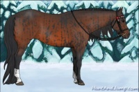 Horse Color:Black  and Brown 