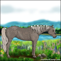Horse Color:Silver Black 