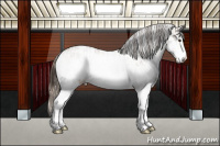 Horse Color:White Spotted Classic Champagne Roan Rabicano  and White Spotted Classic Champagne Roan Appaloosa Rabicano 