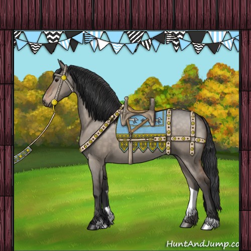 Horse Color:Bay Dun Sabino 