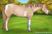 Horse Color:Red Roan Pearl Tobiano Frame 