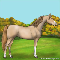 Horse Color:Red Roan Pearl Tobiano Frame 