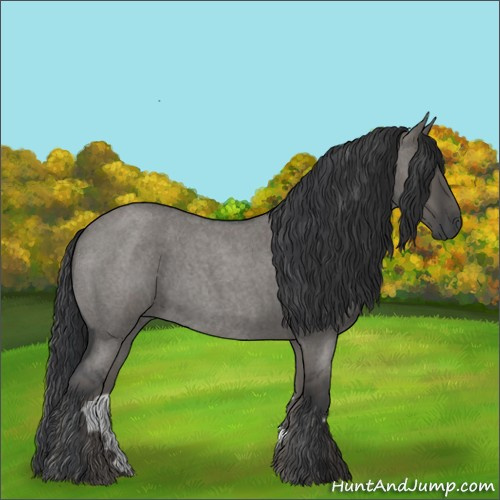 Horse Color:Grullo Roan 
