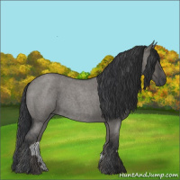 Horse Color:Grullo Roan 