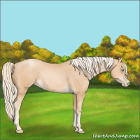 Horse Color:Palomino Pearl