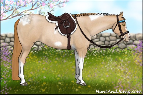 Horse Color:Red Roan Pearl Tobiano