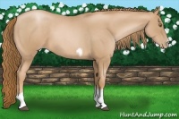 Horse Color:Red Roan Pearl Tobiano Frame 