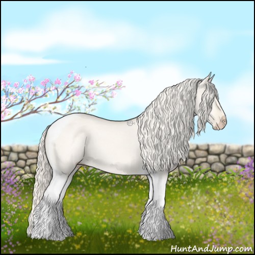 Horse Color:Cremello Dun Tobiano 